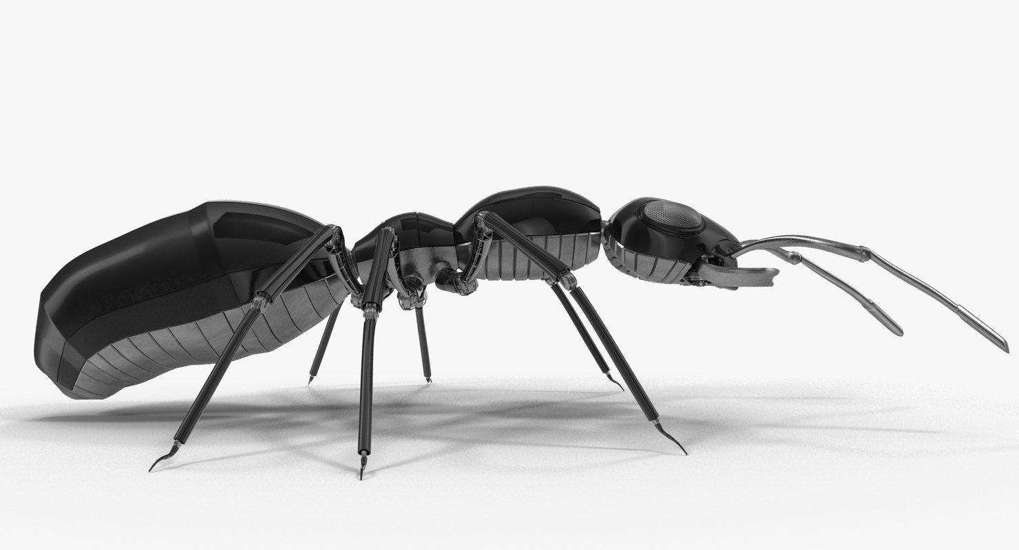 Black Mechanical Ant 3D model