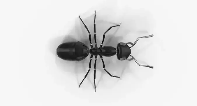 Black Mechanical Ant