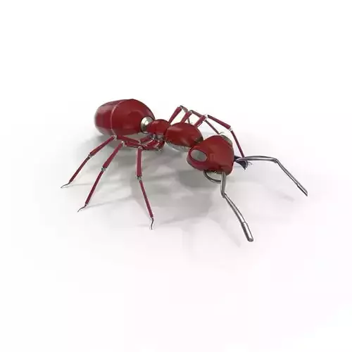Red Mechanical Ant