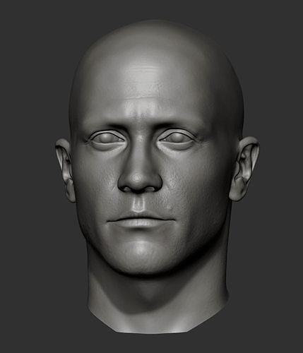Jake Gyllenhaal 3D print model