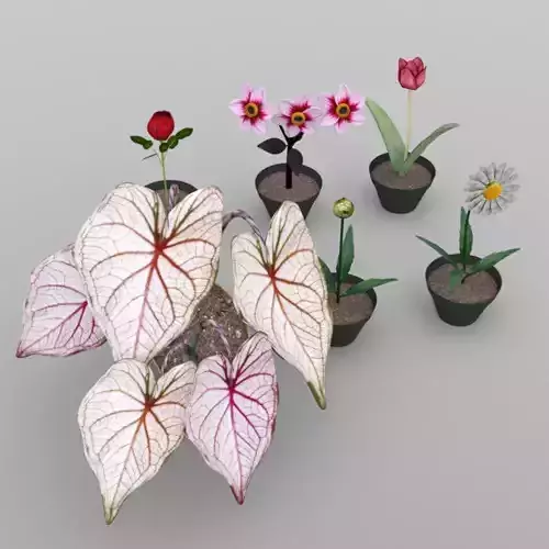 Plants Set 2 flowers in pots 3D model