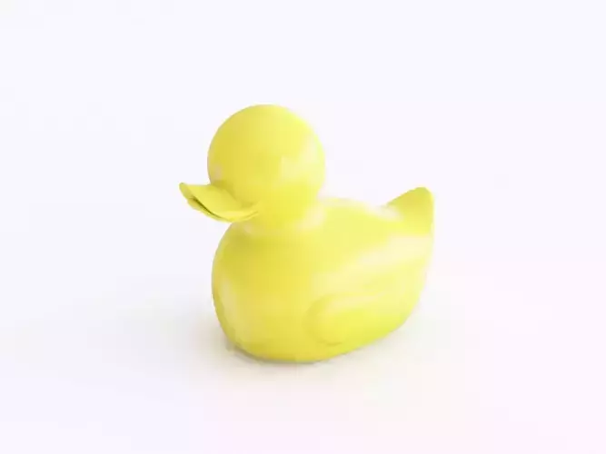 Toy duck 01