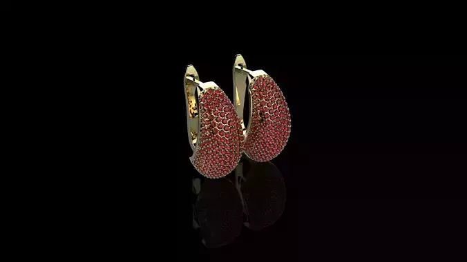 M EARRINGS N9