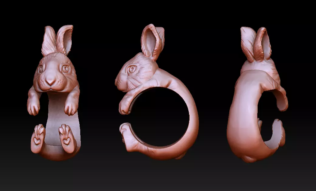 Rabbit hug ring 3D print model_0