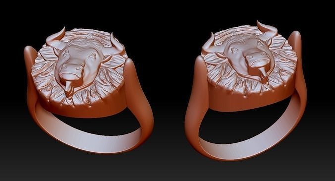 Bull ring 3D print model