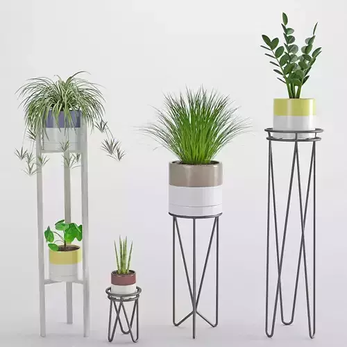 Houseplant 35 3D model