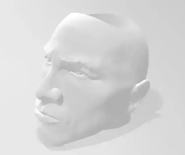 the rock 3D model