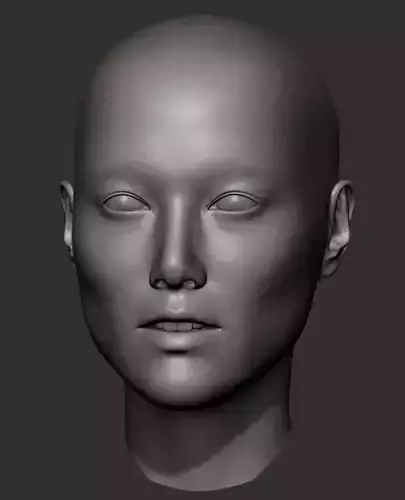 Asian female head 3D print model