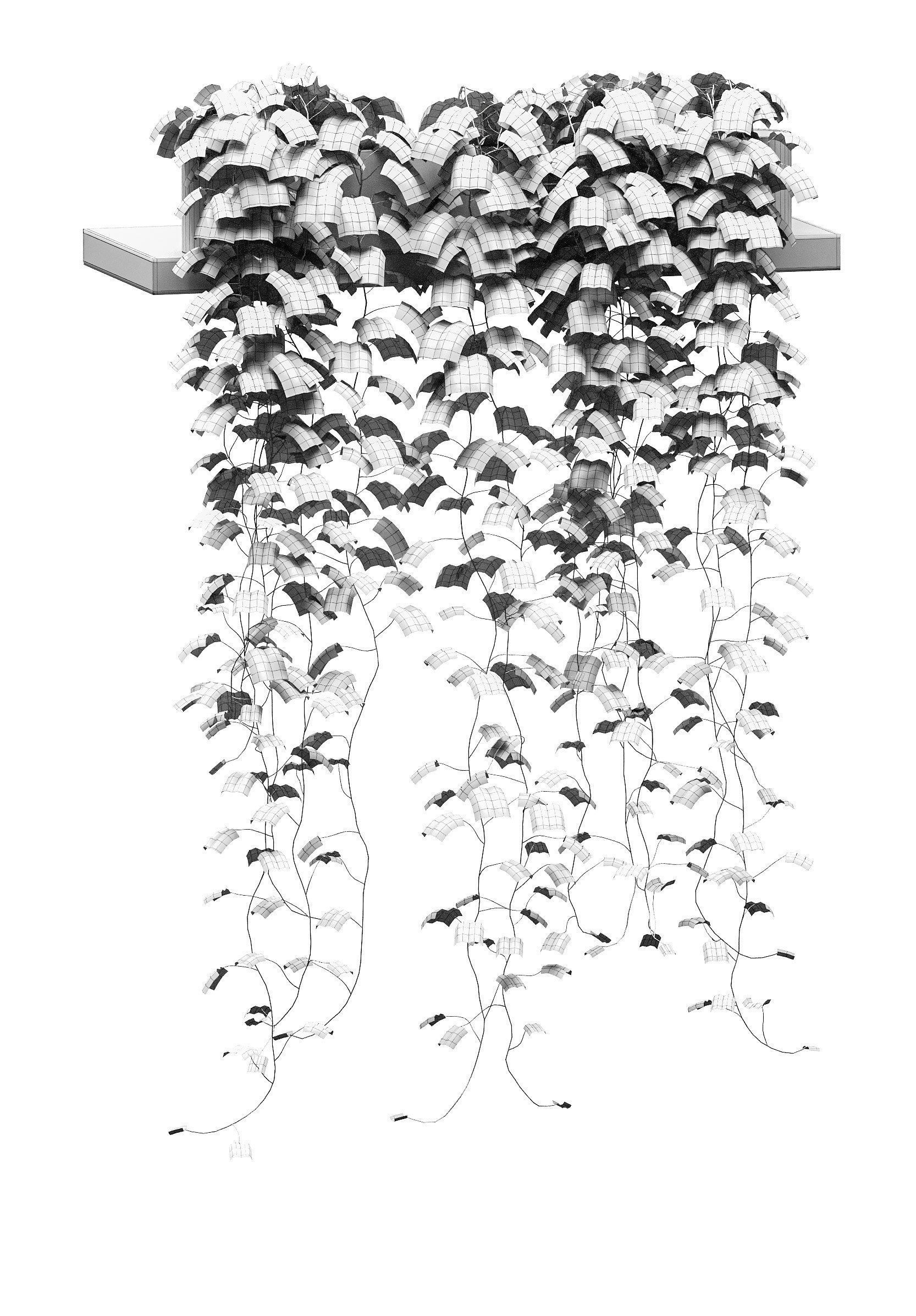 Hanging ivy in pots on the shelves v2 - 5 models 3D model_11