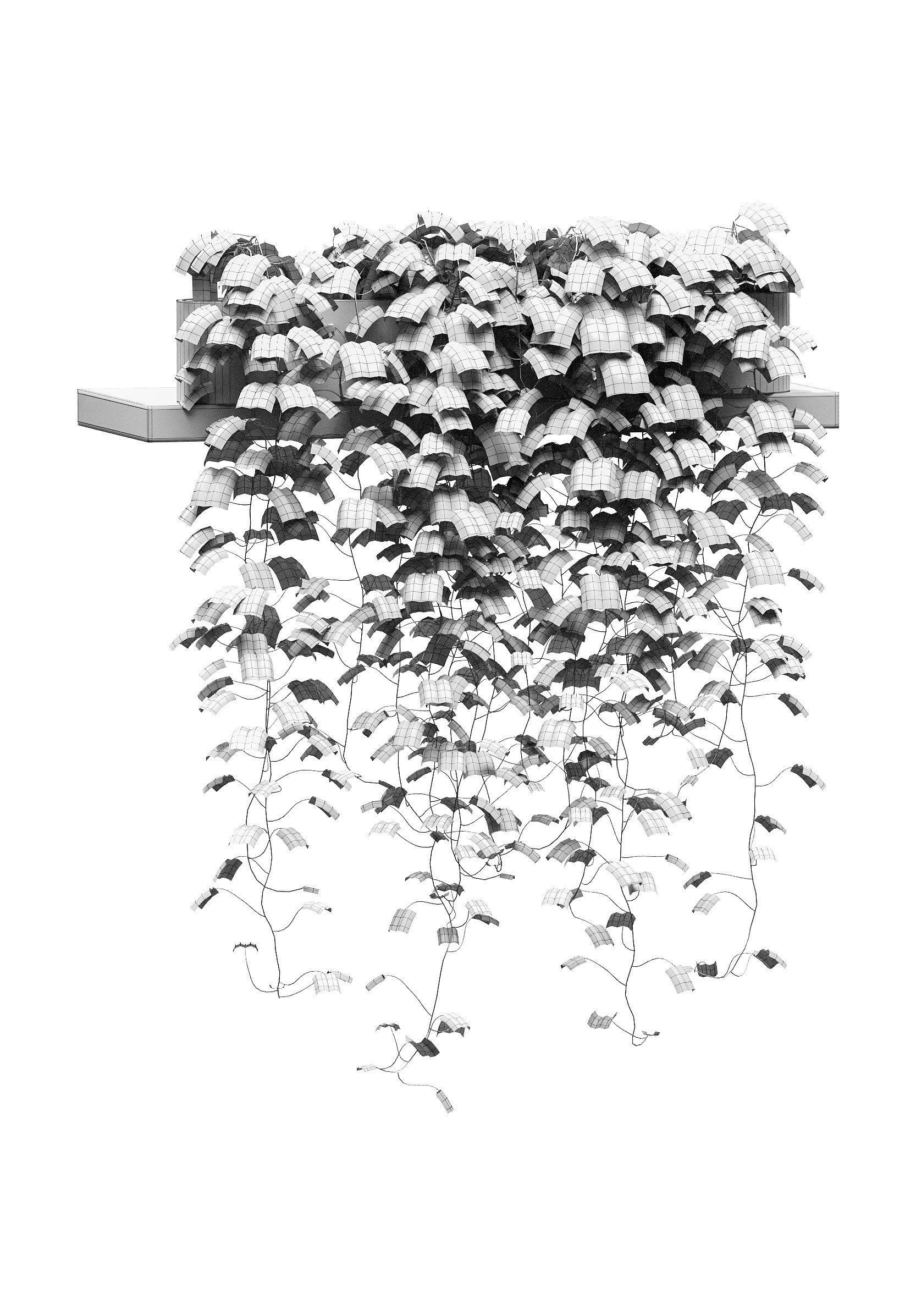 Hanging ivy in pots on the shelves v2 - 5 models 3D model_8