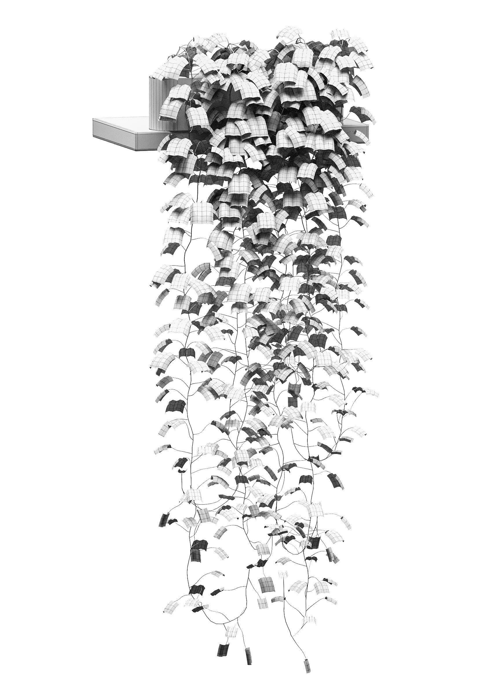 Hanging ivy in pots on the shelves v2 - 5 models 3D model_12