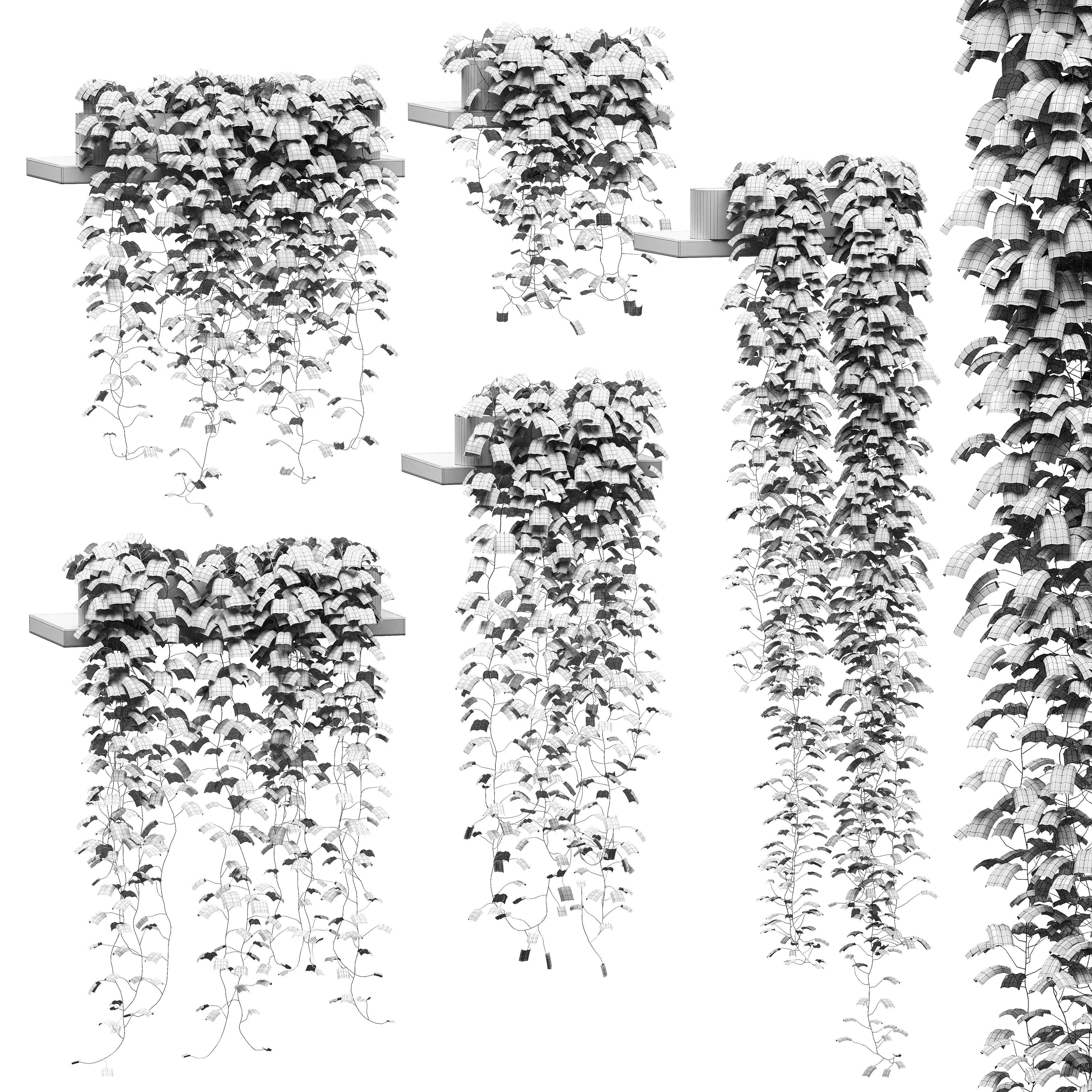 Hanging ivy in pots on the shelves v2 - 5 models 3D model_1