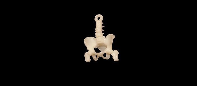 Spine Pelvis keychain Free 3D print model