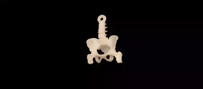 Spine Pelvis keychain