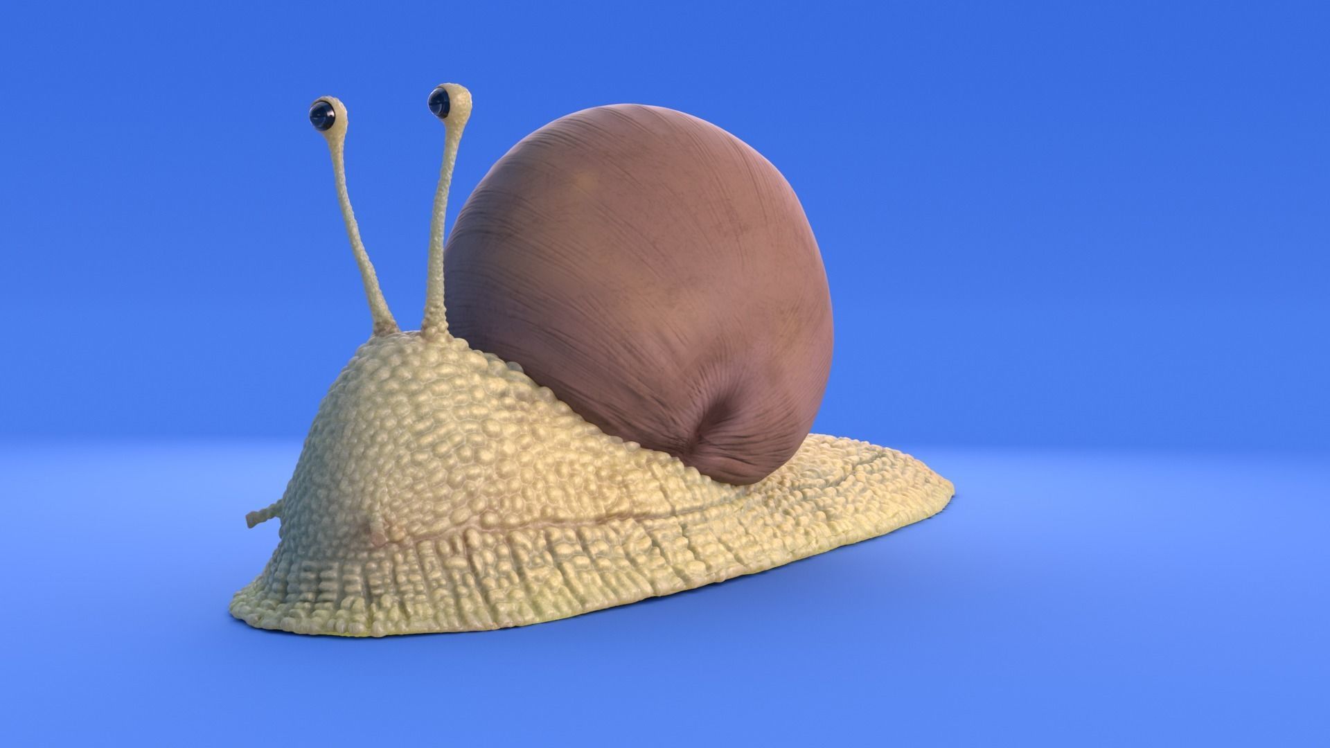 Snail - Cartoon Style - rigged 3D model_6