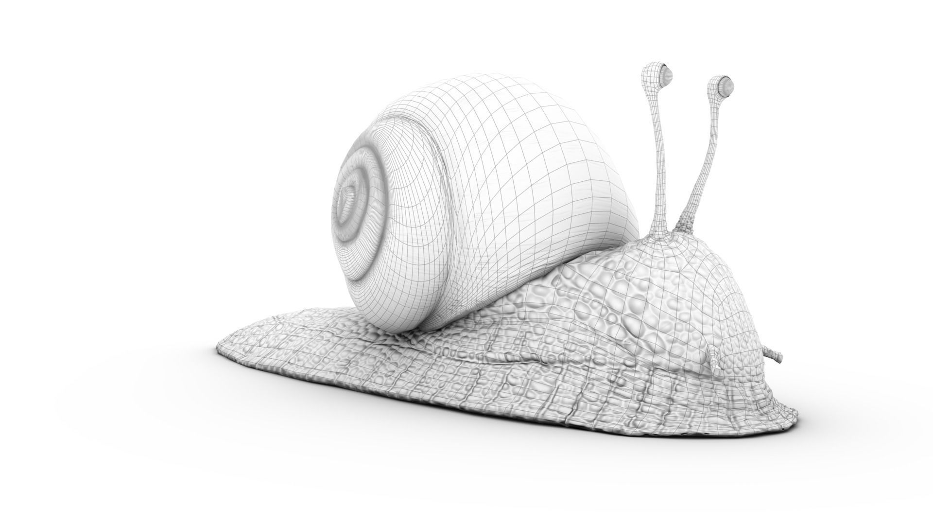 Snail - Cartoon Style - rigged 3D model_8