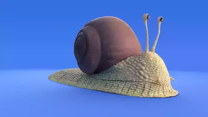 Snail - Cartoon Style - rigged 3D model