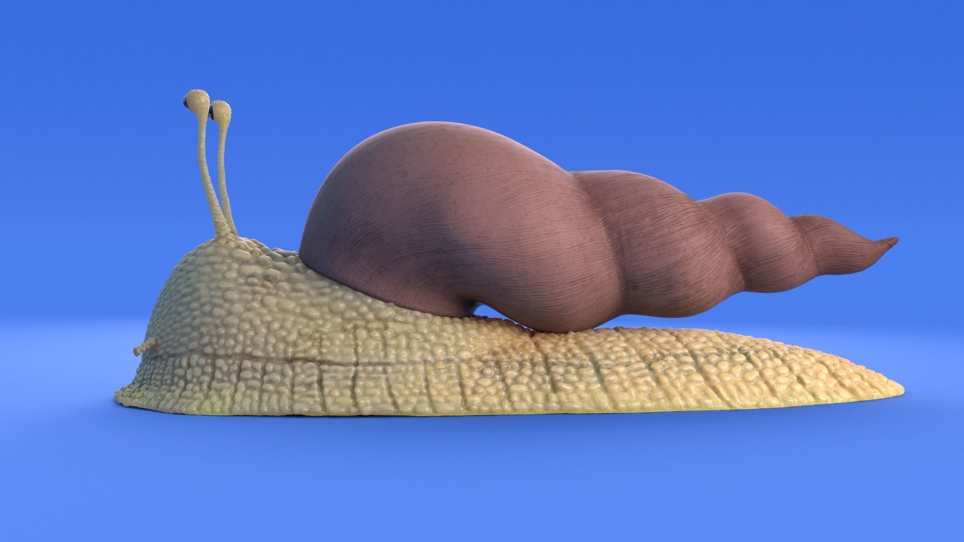 Snail - Cartoon Style - rigged 3D model_14