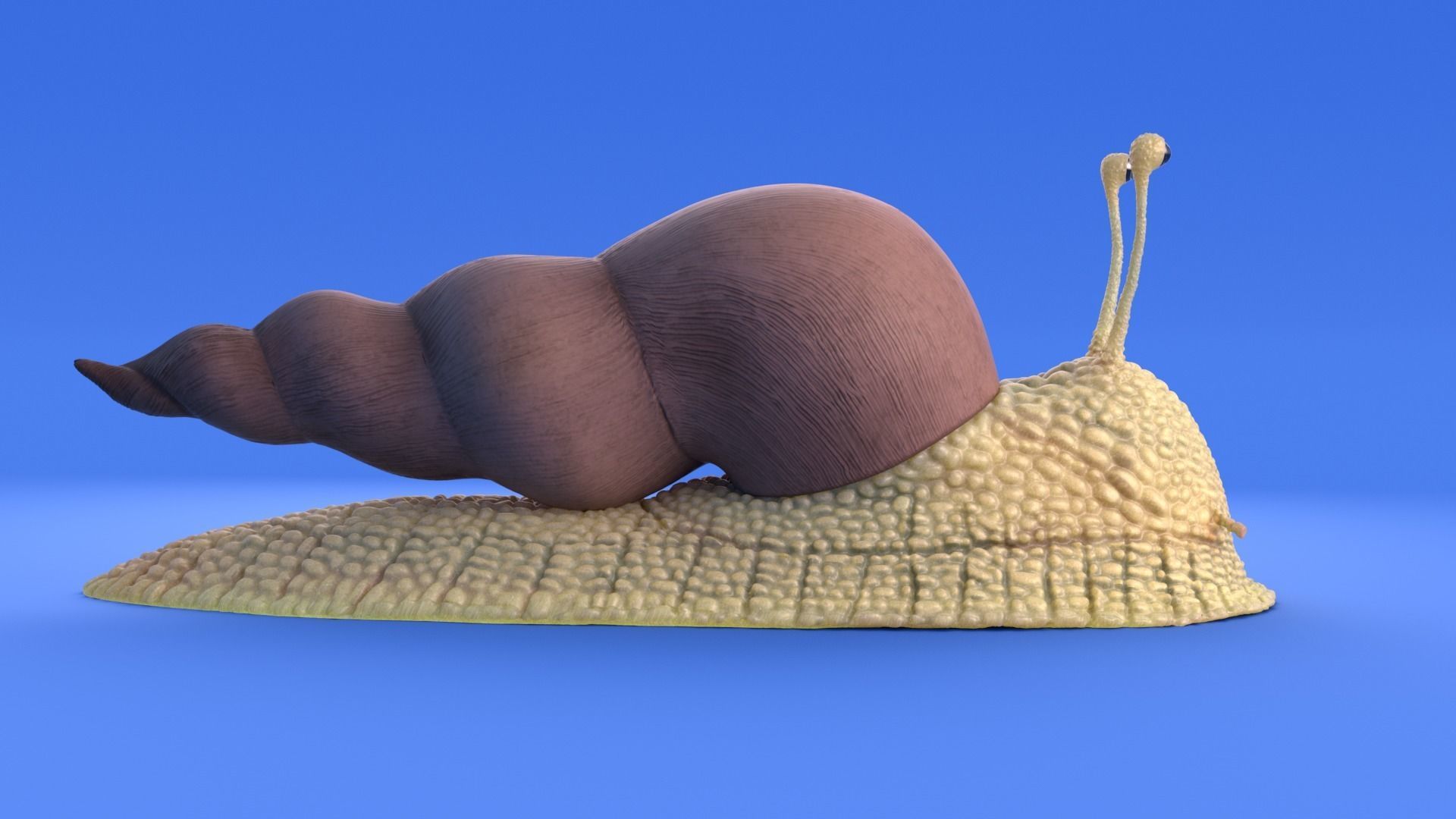 Snail - Cartoon Style - rigged 3D model_10