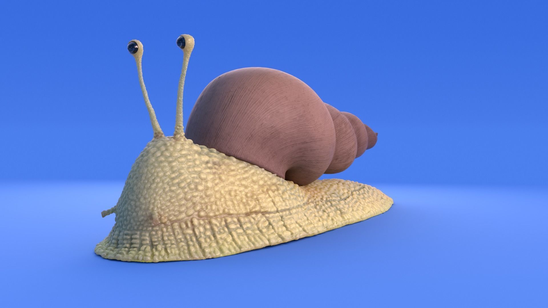 Snail - Cartoon Style - rigged 3D model_15