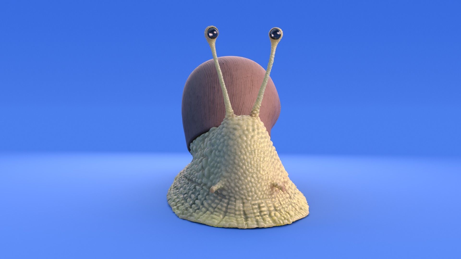 Snail - Cartoon Style - rigged 3D model_16