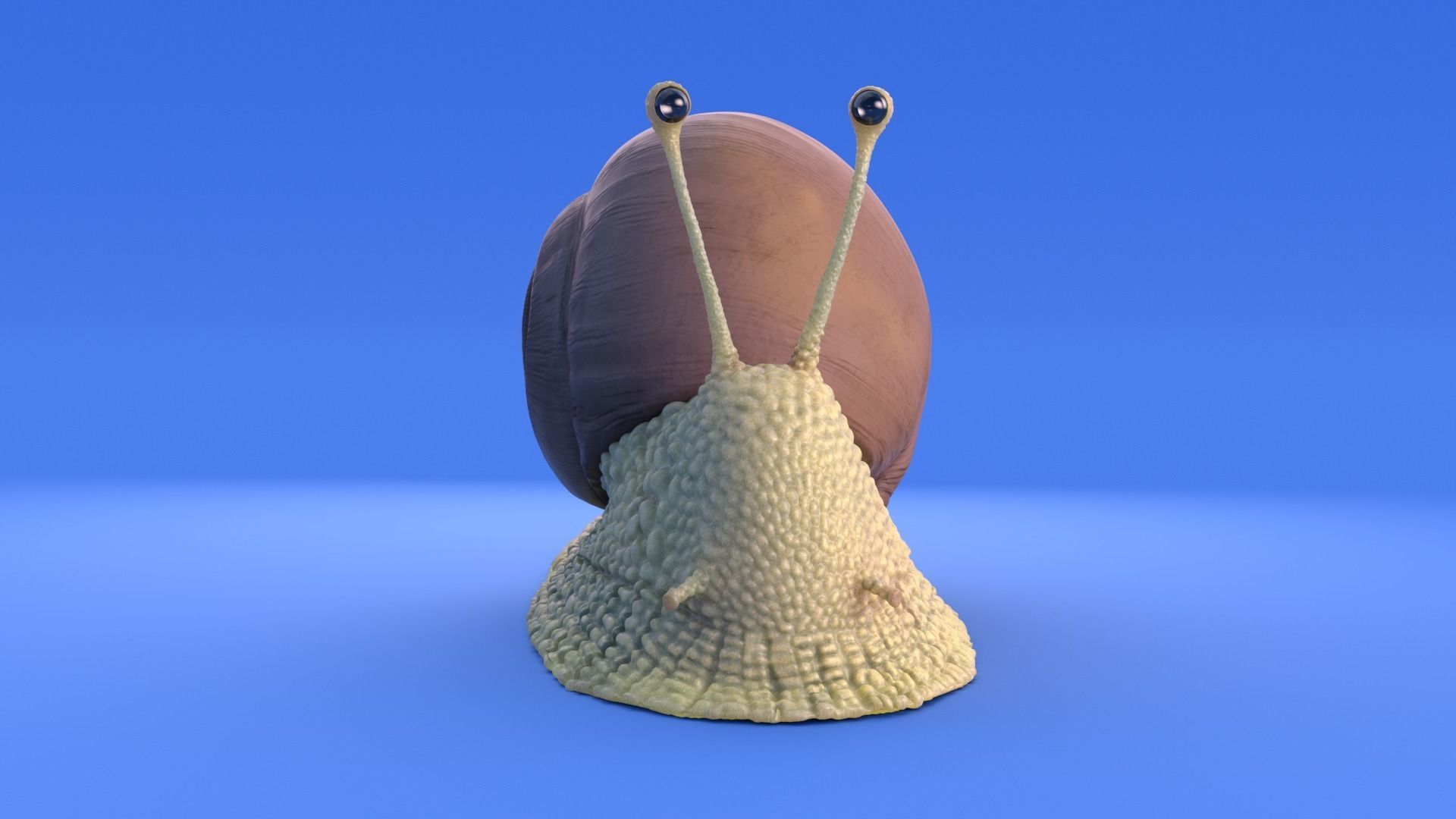 Snail - Cartoon Style - rigged 3D model_7