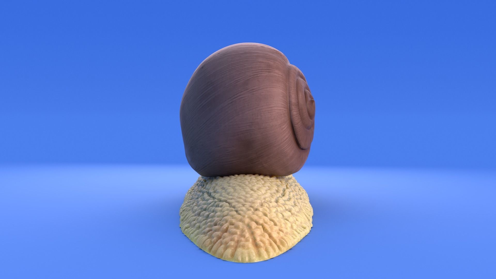 Snail - Cartoon Style - rigged 3D model_3