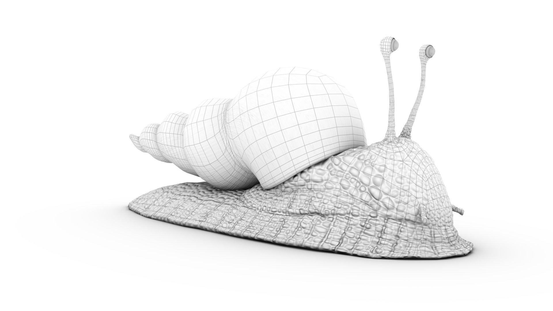 Snail - Cartoon Style - rigged 3D model_17