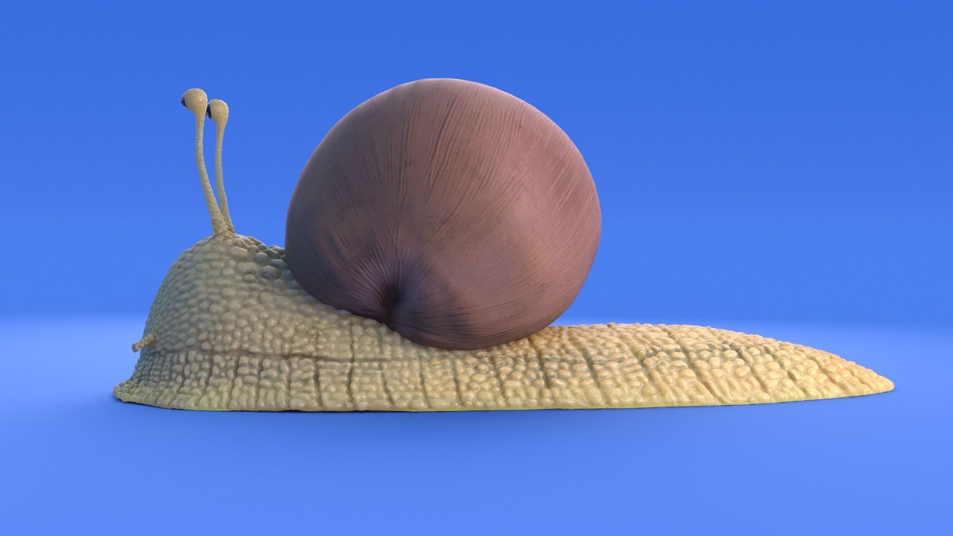 Snail - Cartoon Style - rigged 3D model_5