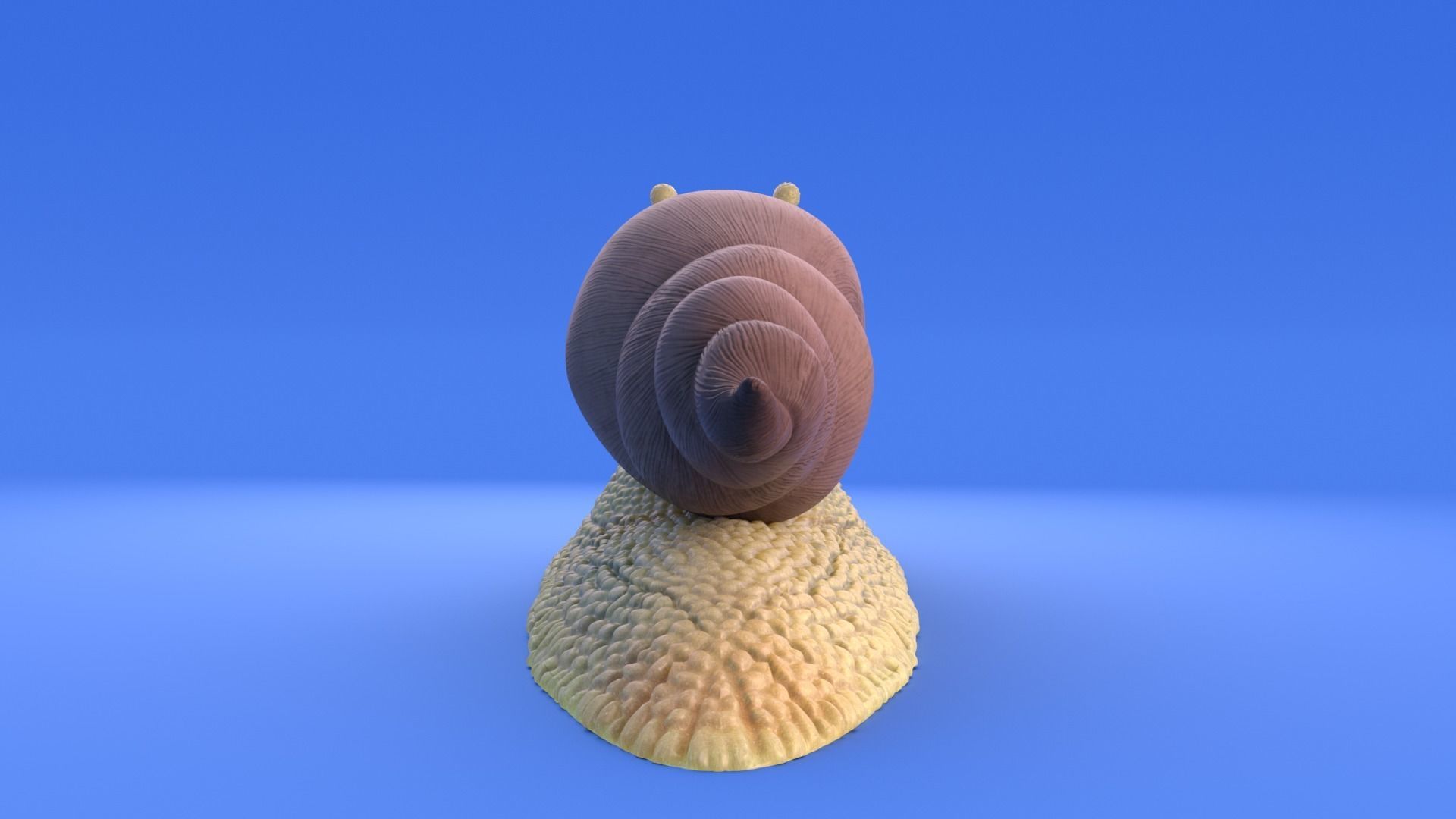 Snail - Cartoon Style - rigged 3D model_12