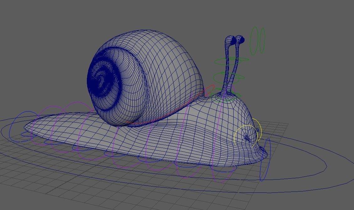 Snail - Cartoon Style - rigged 3D model_18