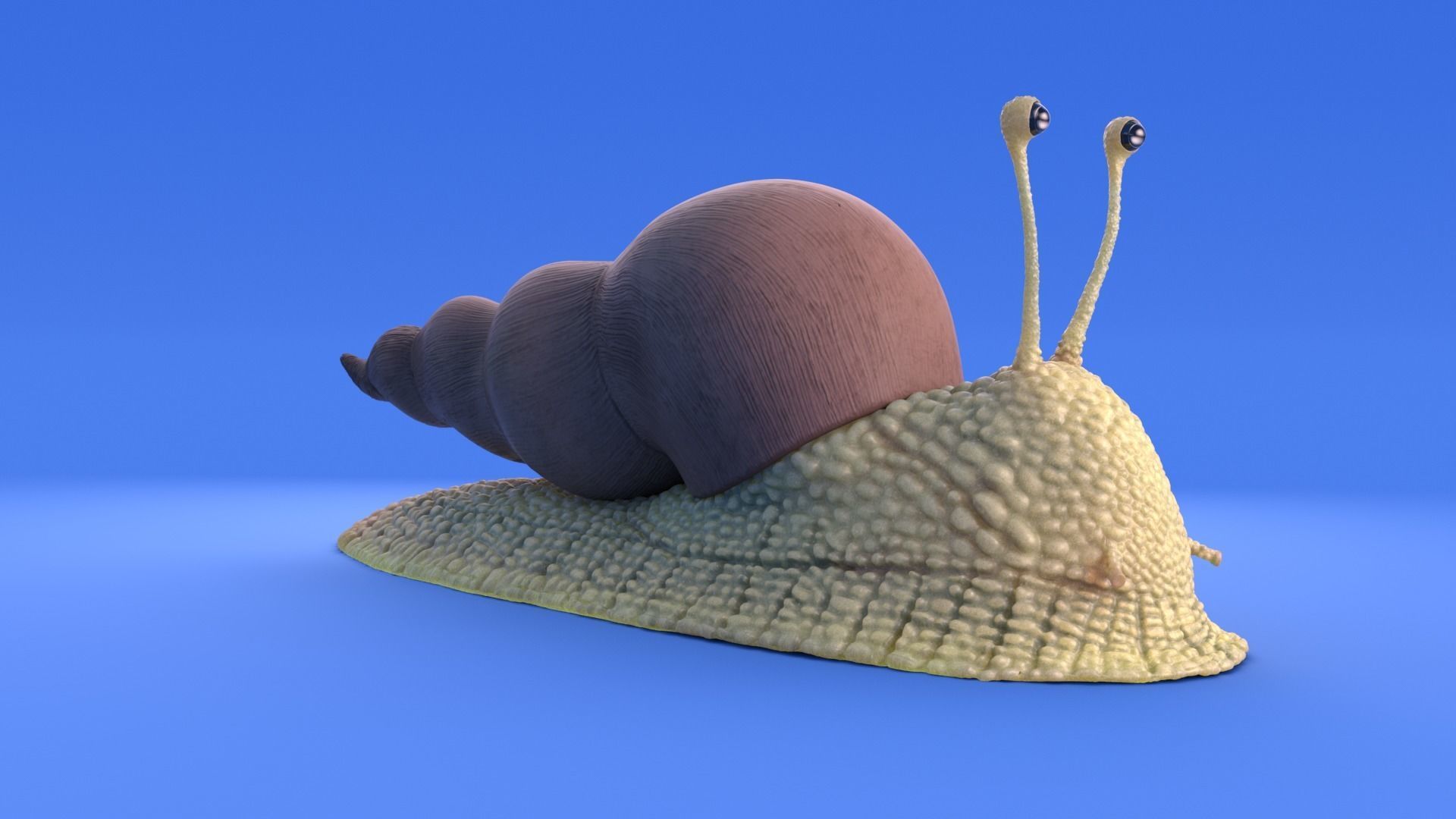 Snail - Cartoon Style - rigged 3D model_9