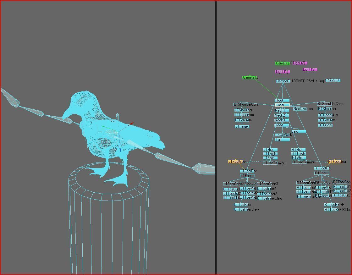 Thayers Herring Gull -rigged - animated 3D model_24