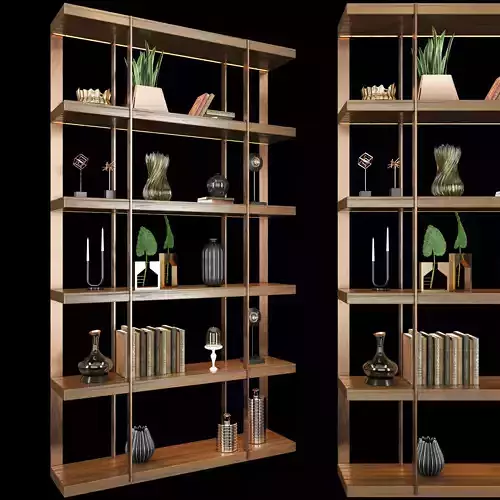 Shelf 3D model bookcase with shelves and potted plants 3D model