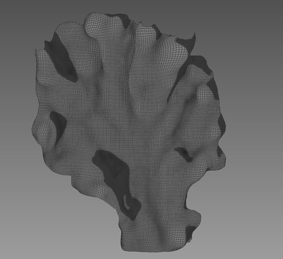 Lettuce - leaf 3D model_3