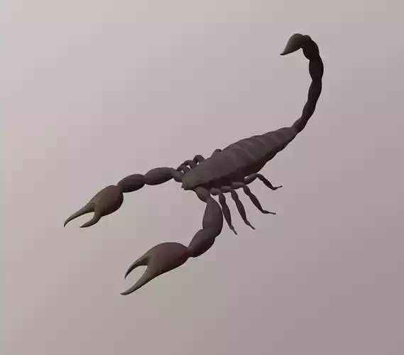 Scorpion 3D model