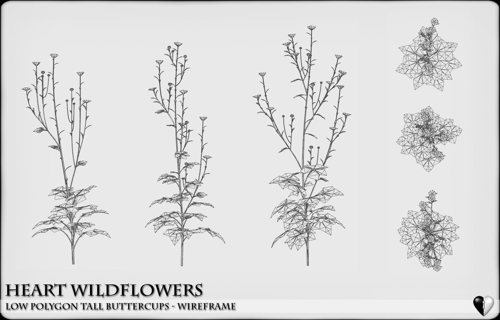 Low Polygon Wild Tall Buttercups Flowers - Wild Flowers Low-poly 3D model_6