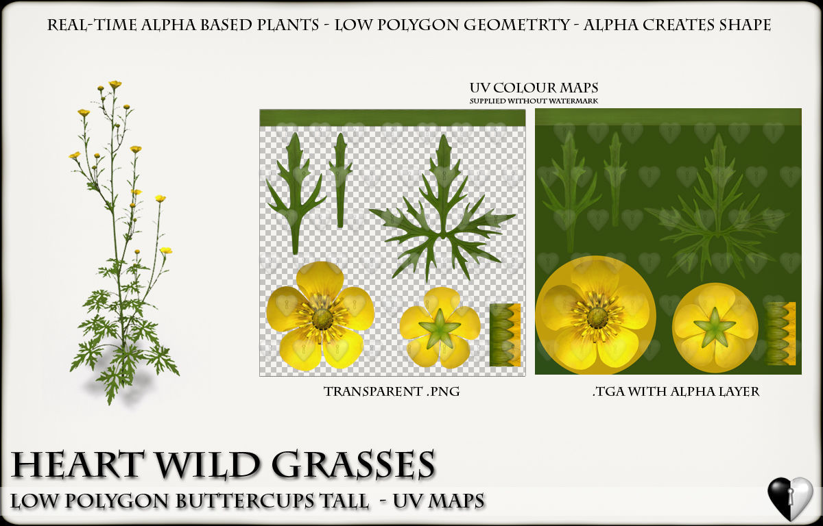 Low Polygon Wild Tall Buttercups Flowers - Wild Flowers Low-poly 3D model_9