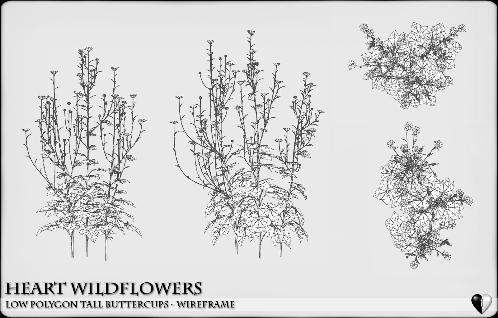 Low Polygon Wild Tall Buttercups Flowers - Wild Flowers Low-poly 3D model_7