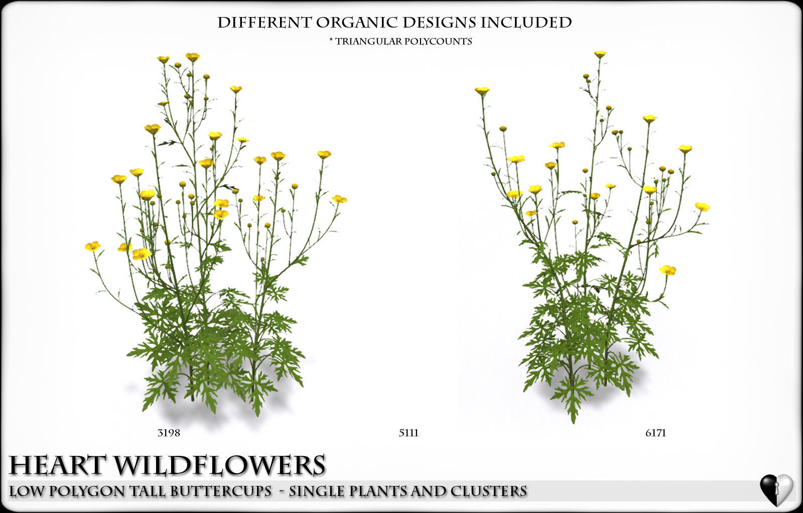 Low Polygon Wild Tall Buttercups Flowers - Wild Flowers Low-poly 3D model_3