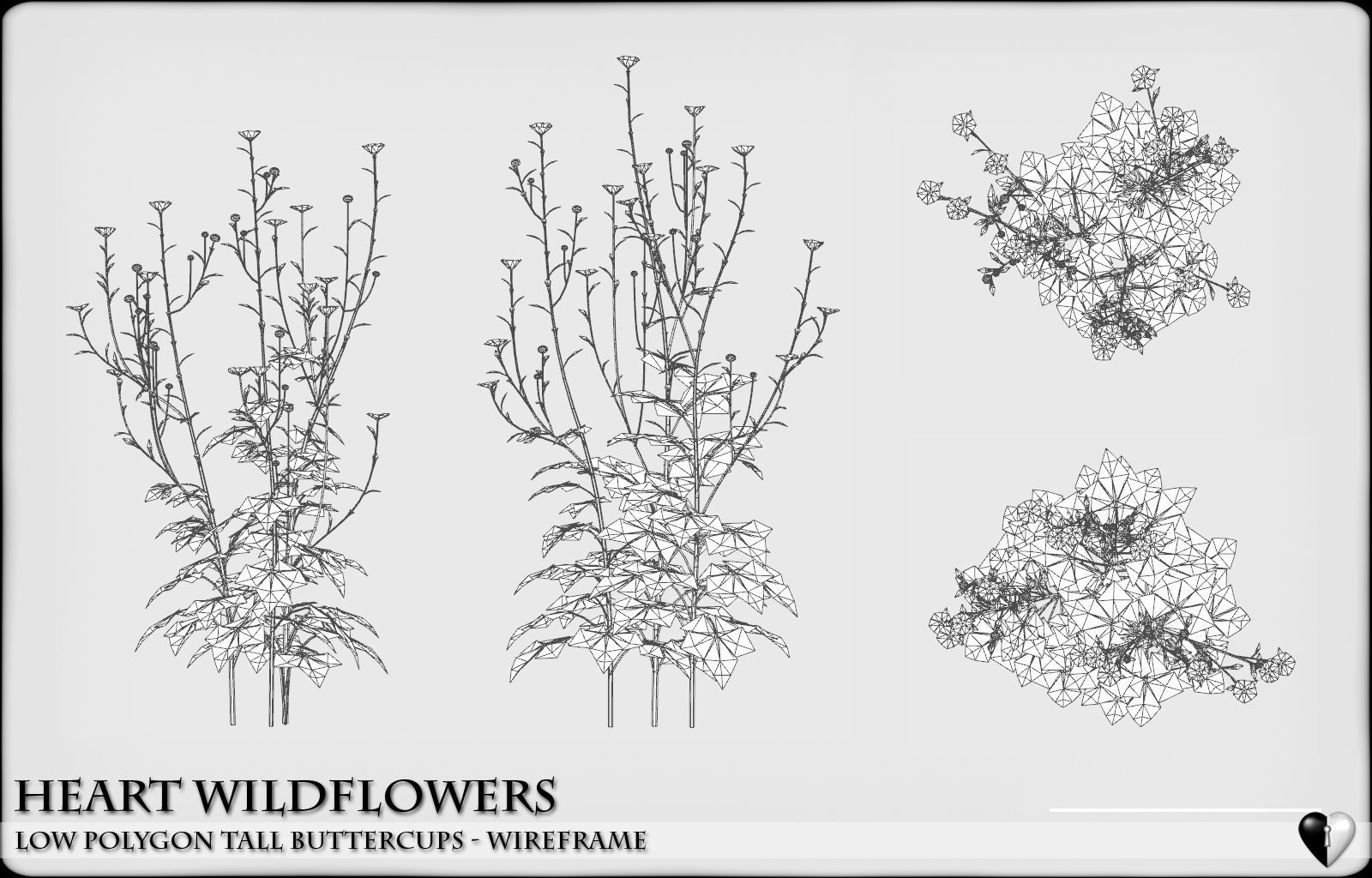 Low Polygon Wild Tall Buttercups Flowers - Wild Flowers Low-poly 3D model_8