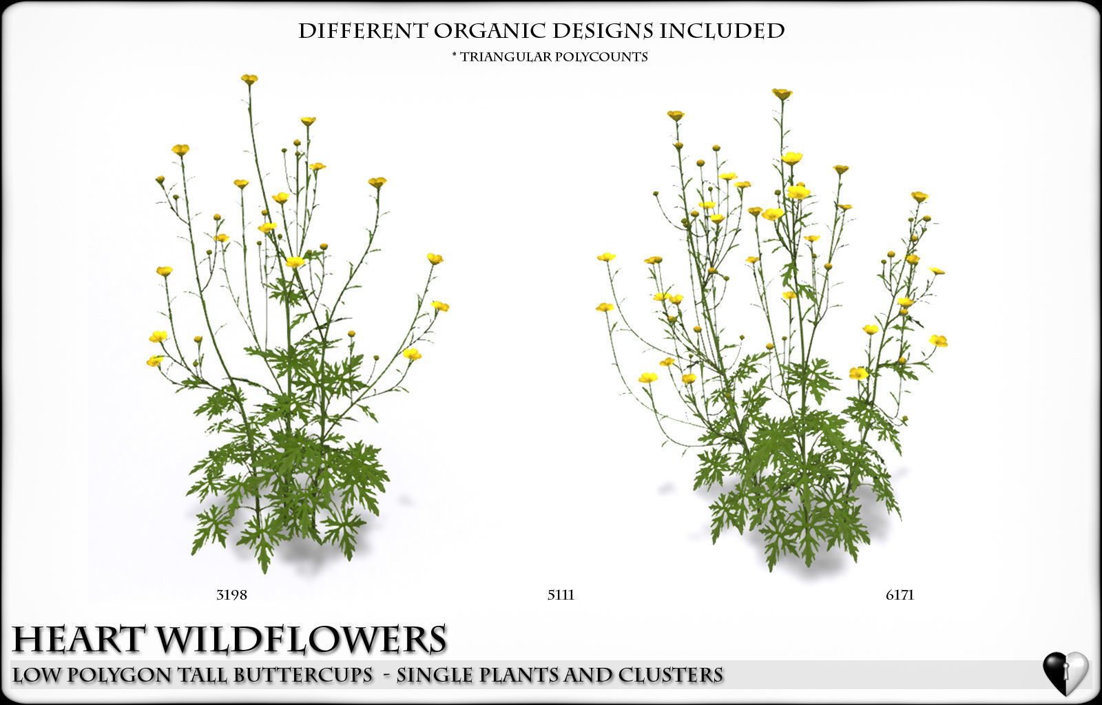 Low Polygon Wild Tall Buttercups Flowers - Wild Flowers Low-poly 3D model_4