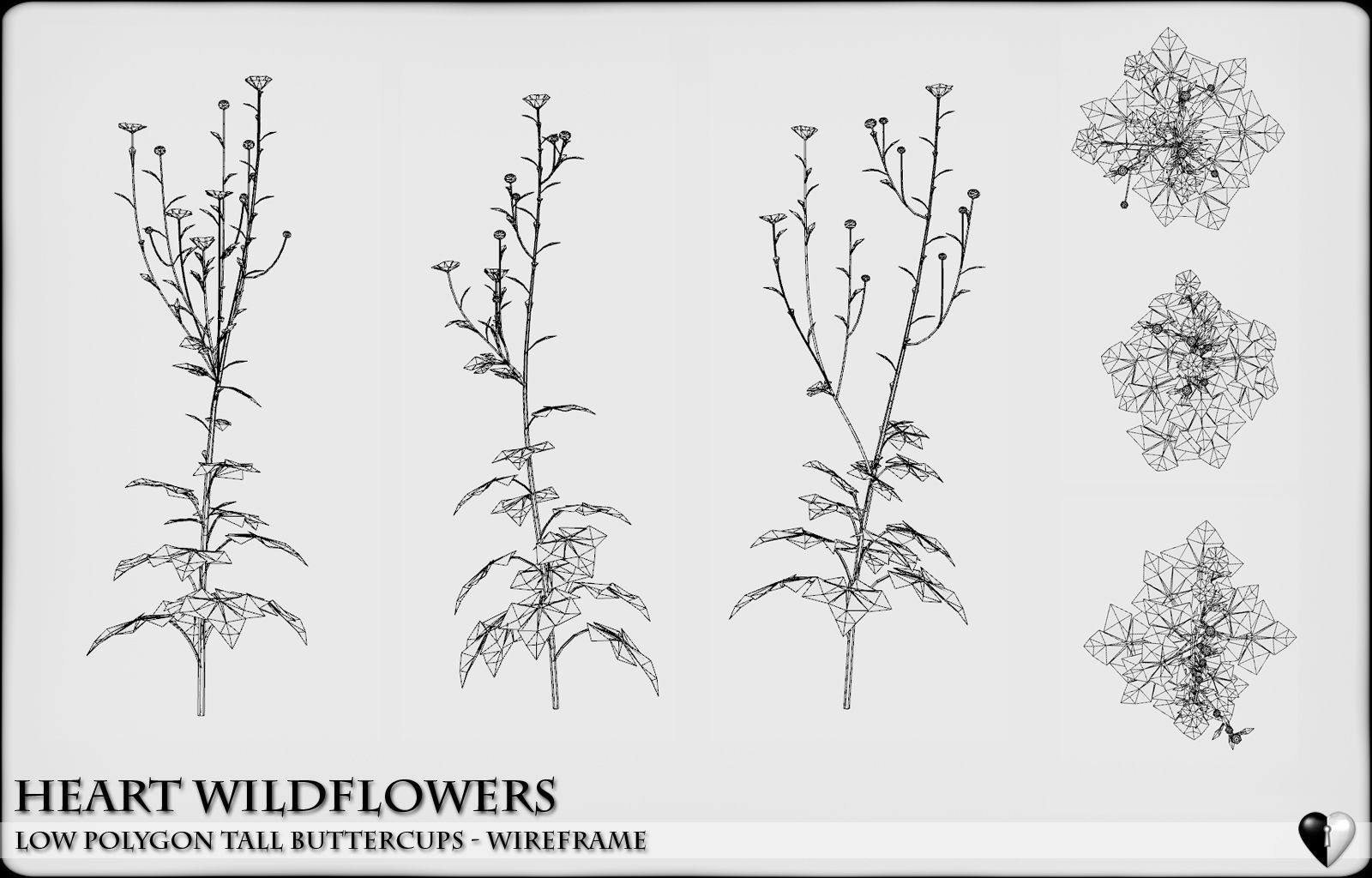 Low Polygon Wild Tall Buttercups Flowers - Wild Flowers Low-poly 3D model_5