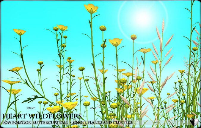 Low Polygon Wild Tall Buttercups Flowers - Wild Flowers Low-poly 3D model