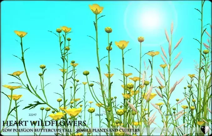 Low Polygon Wild Tall Buttercups Flowers - Wild Flowers Low-poly 3D model