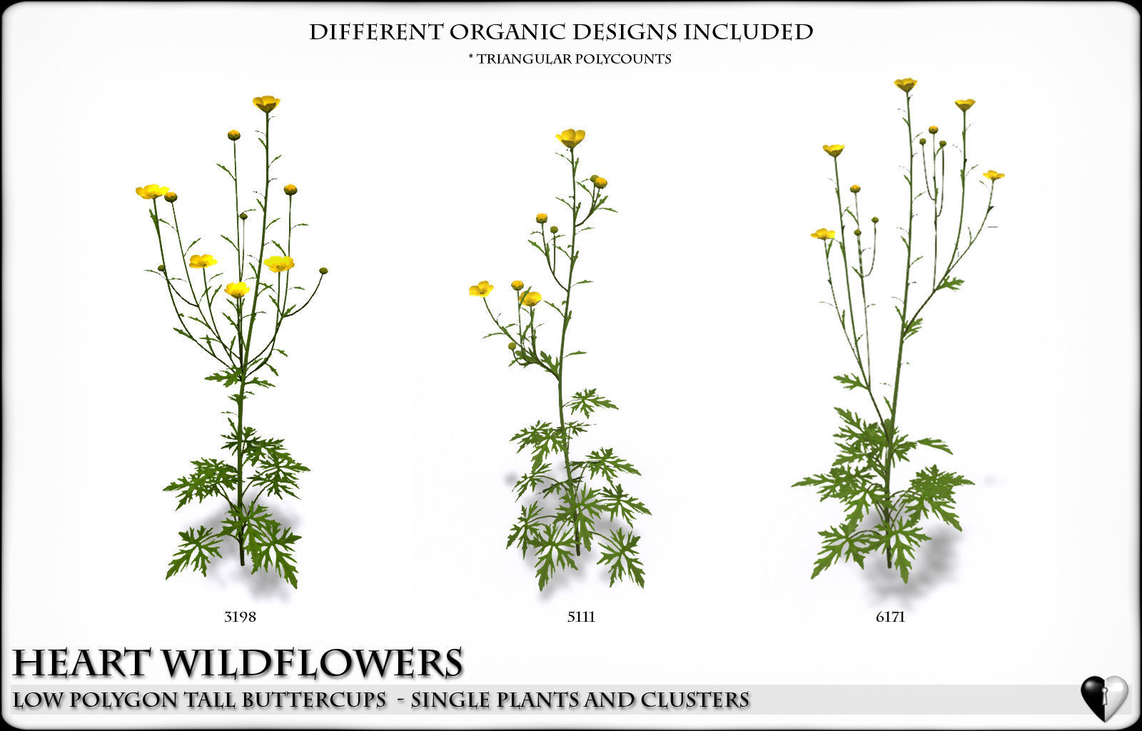 Low Polygon Wild Tall Buttercups Flowers - Wild Flowers Low-poly 3D model_1