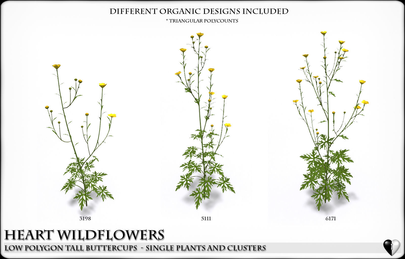 Low Polygon Wild Tall Buttercups Flowers - Wild Flowers Low-poly 3D model_2