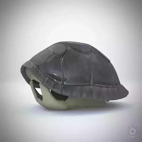 Turtle gray shell Mock-up 3d Model