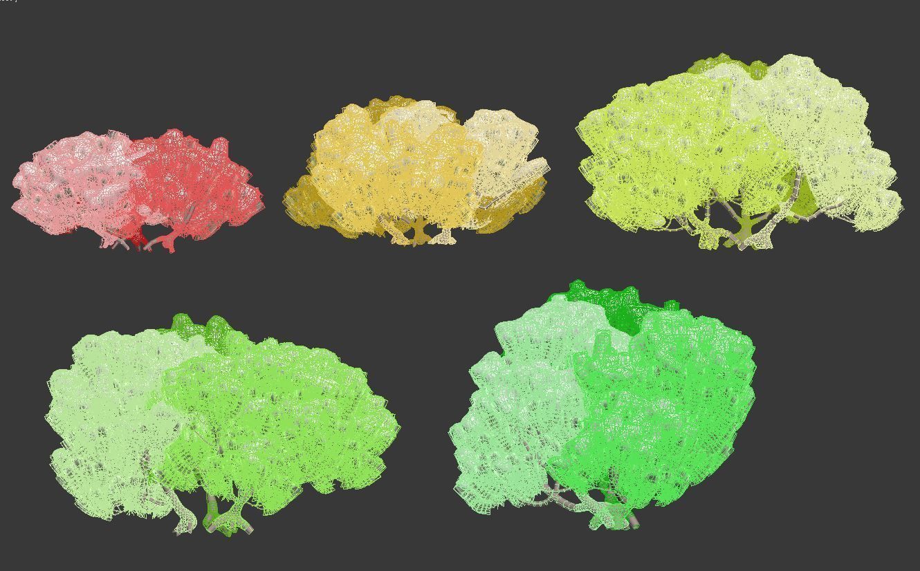 Pinus mugo Nr3 H70-180 cm  3D model_3