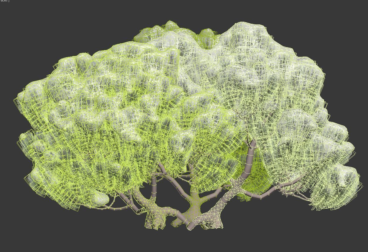 Pinus mugo Nr3 H70-180 cm  3D model_2